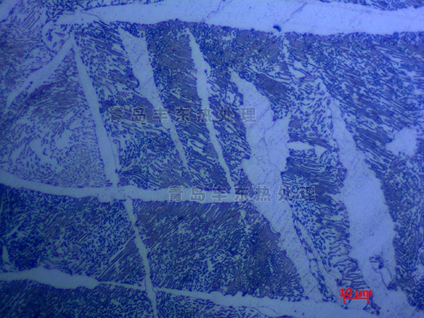 魏氏金相組織分析500倍